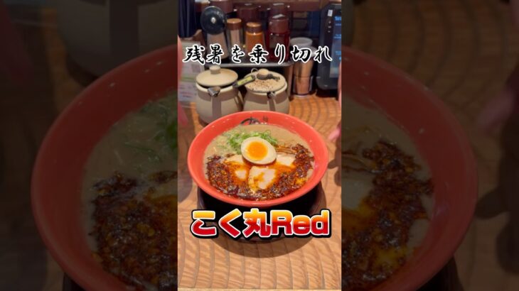 コク丸REDで乗り切れ！　#豚骨ラーメン #大食い #めん虎 #shorts