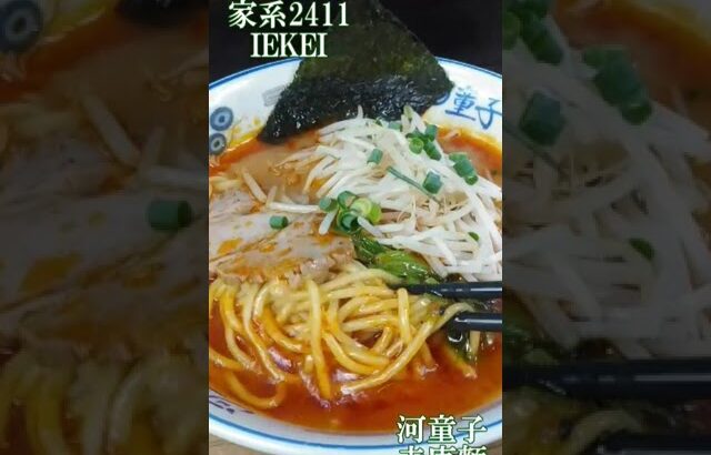 ramen file 家系2411 IEKEI　大輝家・とんぱた亭・河童子・横濱家