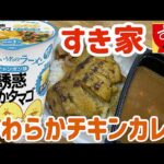 【テイクアウト】すき家で期間限定「やわらかチキンカレー弁当」と明星「青春という名のラーメン誘惑でかタマゴ」を食べる！【飯テロ】【お昼ごはん】【ジジイ飯】