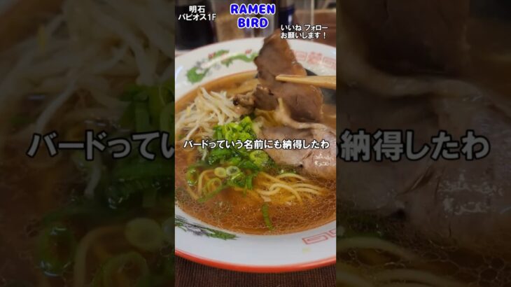 明石の新店、鶏の旨味のガツンときいた至高の一杯【RAMEN BIRD】#shorts #ラーメン #明石