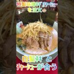 【ラーメン山岡家】ﾁｬｰｼｭｰ＆白髪ﾈｷﾞセットが贅沢(●´ω｀●)特製味噌ｽｰﾌﾟで頂く至福の一杯🍜♪【岐阜 ラーメン】