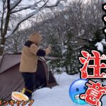 【暖房器具ナシ】落雪に怯えながら2杯の御当地ラーメンを作る今季初の雪中キャンプ⛄️【本格ラーメン】【ヴィガス】【大鬼谷オートキャンプ場】