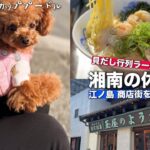 行列のできるラーメンと江ノ島商店街を散策｜老舗羊羹【犬連れ】