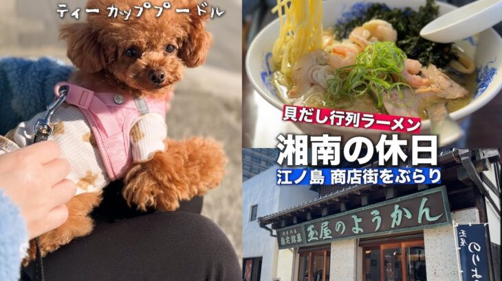 行列のできるラーメンと江ノ島商店街を散策｜老舗羊羹【犬連れ】