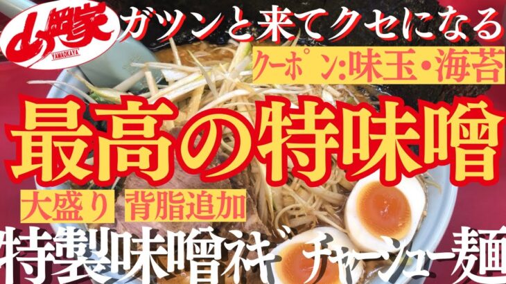 【ラーメン山岡家】やっぱ大好きな特製味噌を贅沢なトッピングで大満足の一杯で堪能(●´ω｀●)♪【岐阜 ラーメン】