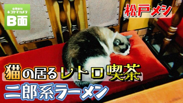 【松戸メシ】猫の居る喫茶店と二郎系ラーメンのデブ活