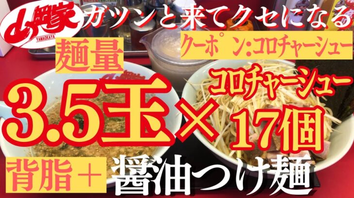 【ラーメン山岡家】醤油つけ麺に背脂を追加し、3.5玉でモチモチ太麺を堪能(●´ω｀●)♪【岐阜 ラーメン】