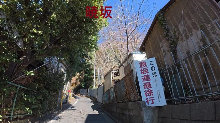 八王子の「坂道」・其の壱～八王子ランチ☆家系ラーメン//まるに家＠寺町