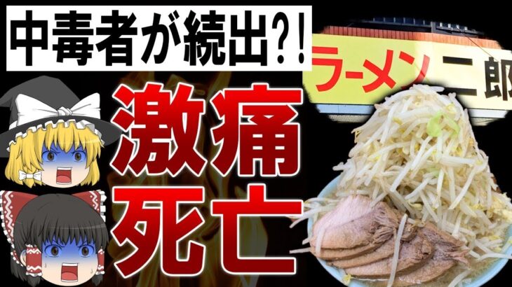 【ゆっくり解説】二郎系を食べて死亡 !あらゆる病気の素になる二郎系ラーメンの闇